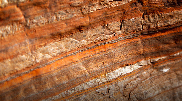 welcometo接待光临888集团(中国)有限公司