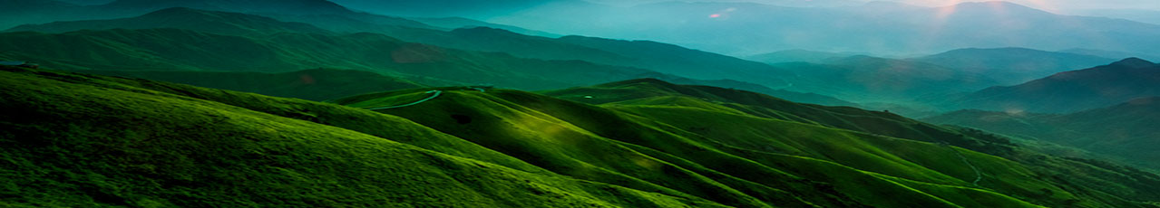 welcometo接待光临888集团(中国)有限公司