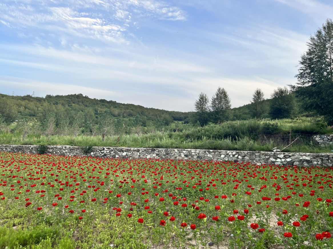 welcometo接待光临888集团(中国)有限公司